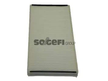 Salono filtras PURFLUX AH158