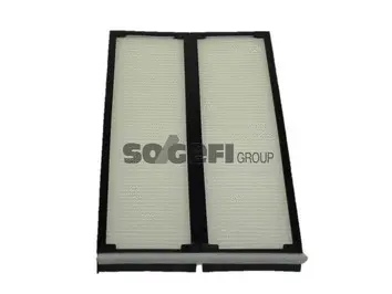 Salono filtras PURFLUX AH159