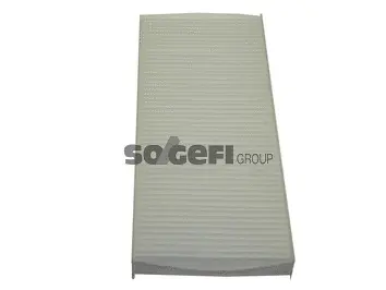 Salono filtras PURFLUX AH205