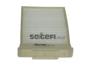Salono filtras PURFLUX AH223