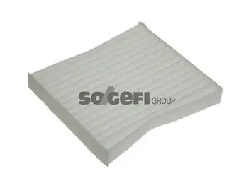 Salono filtras PURFLUX AH256