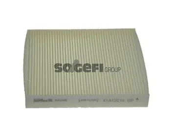 Salono filtras PURFLUX AH298