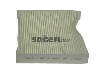 Salono filtras PURFLUX AH303
