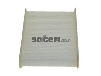 Salono filtras PURFLUX AH306