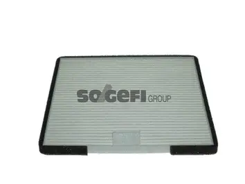Salono filtras PURFLUX AH354