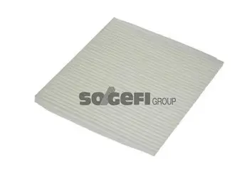 Salono filtras PURFLUX AH361