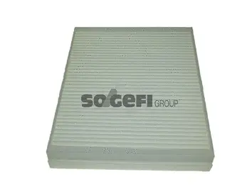Salono filtras PURFLUX AH409
