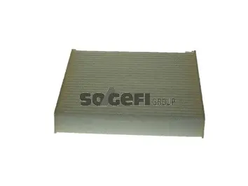 Salono filtras PURFLUX AH484