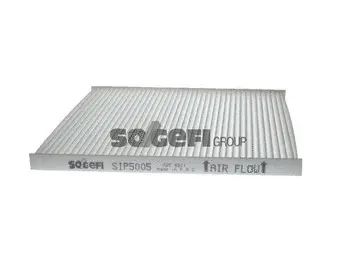 Salono filtras PURFLUX AH538