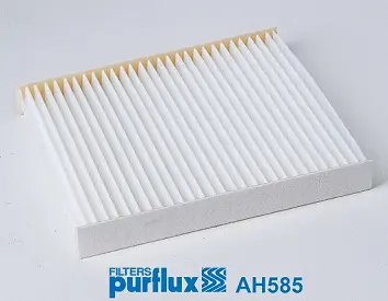 Salono filtras PURFLUX AH585