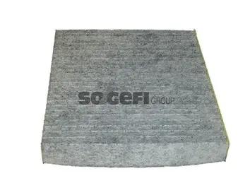 Salono filtras PURFLUX AHC262