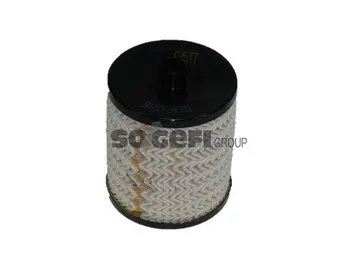 Kuro filtras PURFLUX C517