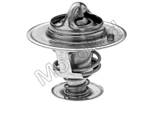 Termostatas MOTORAD 322-88K