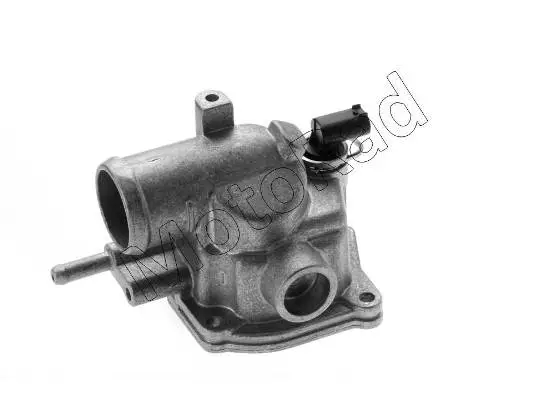 Termostatas MOTORAD 501-92K