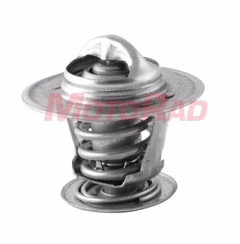 Termostatas MOTORAD 527-87K