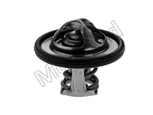 Termostatas MOTORAD 531-82K