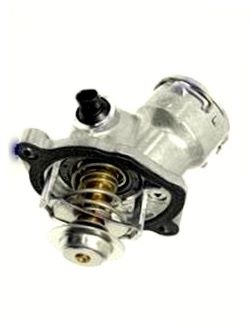 Termostatas MOTORAD 669-100K