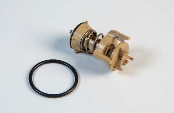 Termostatas MOTORAD 803-94K