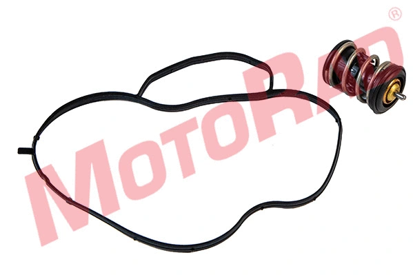 Termostatas MOTORAD 973-97K