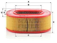 Oro filtras MANN-FILTER C 25 124