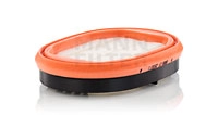 Antrinis oro filtras MANN-FILTER CF 2550/1