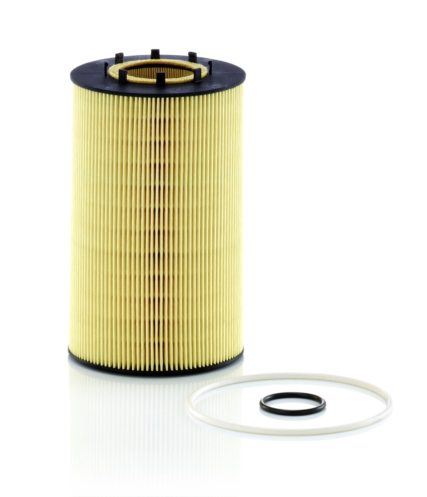 Alyvos filtras MANN-FILTER HU 12 122 x