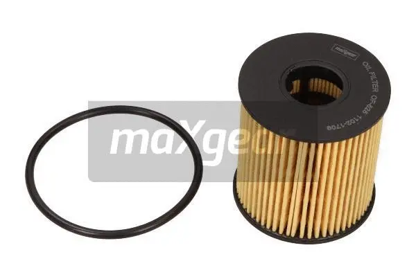 Alyvos filtras MAXGEAR 26-0193