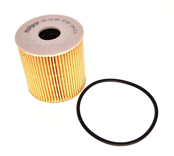 Alyvos filtras MAXGEAR 26-0295