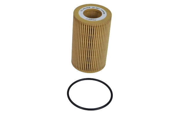 Alyvos filtras MAXGEAR 26-2031