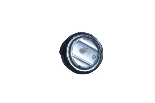 Variklio montavimas MAXGEAR 40-0525