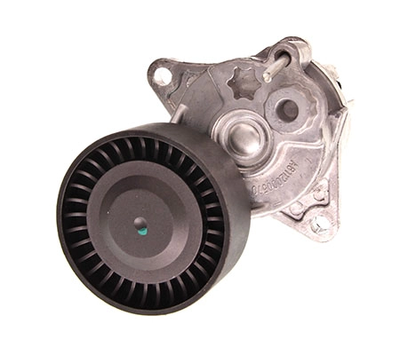 Diržo įtempiklis MAXGEAR 54-0031