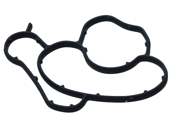 Alyvos filtro korpuso tarpinė MAXGEAR 70-0111
