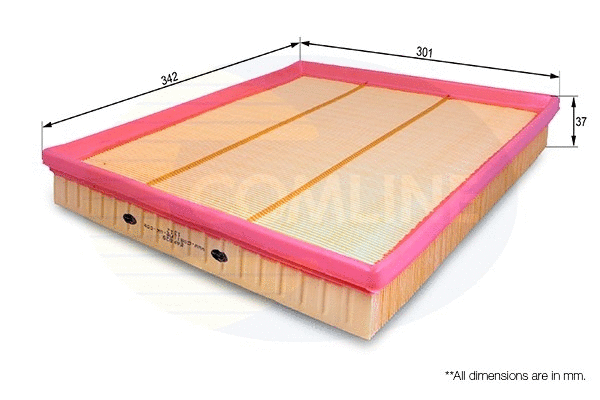 Oro filtras COMLINE EAF829