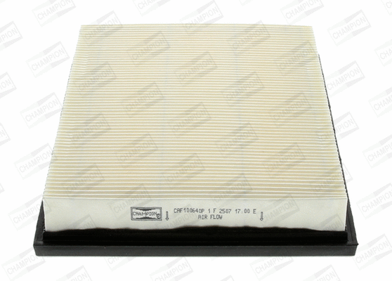 Oro filtras CHAMPION CAF100640P