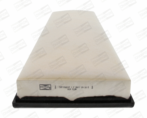 Oro filtras CHAMPION CAF100651P
