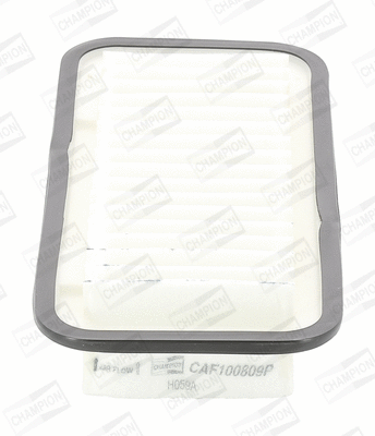 Oro filtras CHAMPION CAF100809P