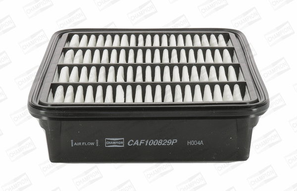 Oro filtras CHAMPION CAF100829P