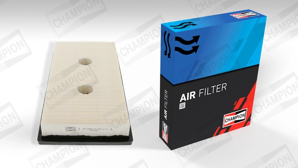 Oro filtras CHAMPION CAF100869P