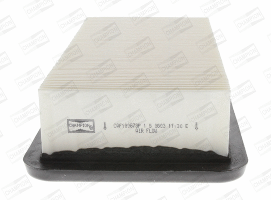 Oro filtras CHAMPION CAF100873P