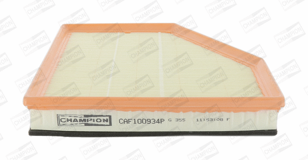Oro filtras CHAMPION CAF100934P