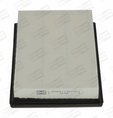 Oro filtras CHAMPION CAF100979P