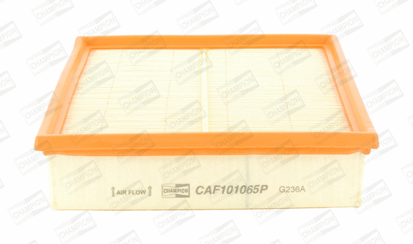 Oro filtras CHAMPION CAF101065P
