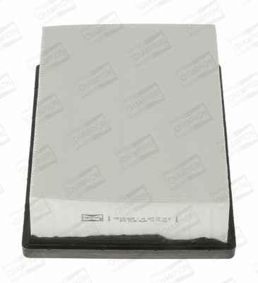 Oro filtras CHAMPION CAF101082P