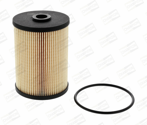 Kuro filtras CHAMPION CFF100447