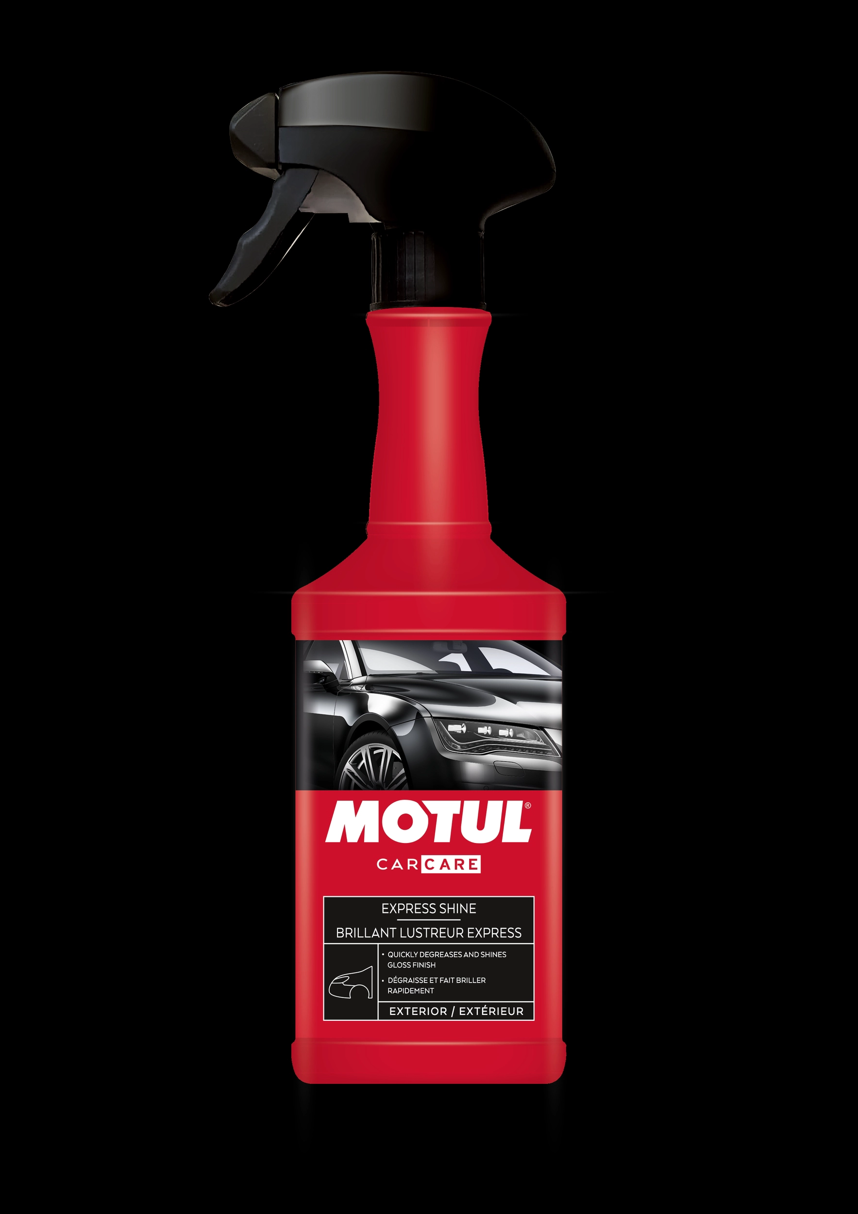 Universalus valiklis MOTUL 110154