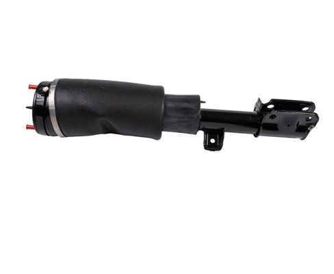 Amortizatorius DUNLOP DAS10110