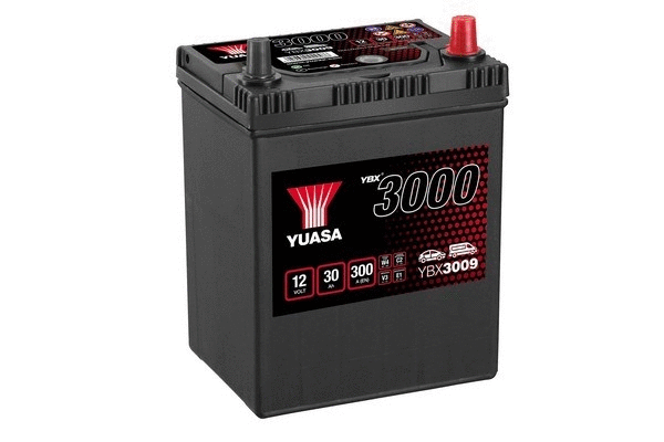 Starterio akumuliatorius YUASA YBX3009