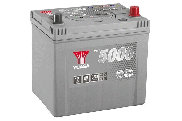 Starterio akumuliatorius YUASA YBX5005