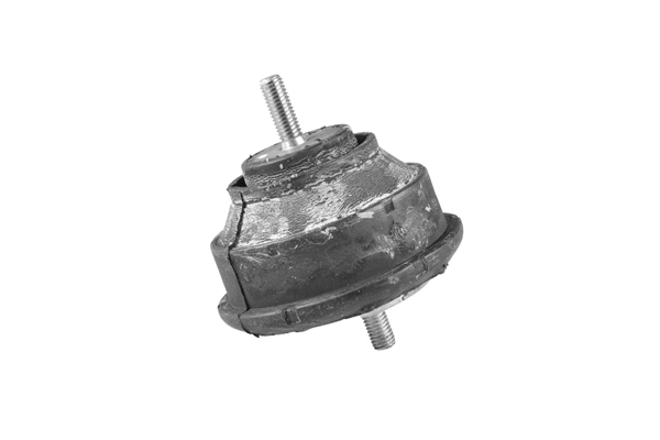 Variklio montavimas TEDGUM 00083444