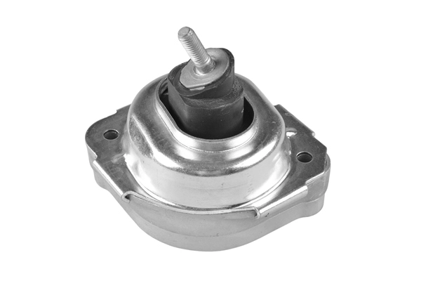 Variklio montavimas TEDGUM 00088530